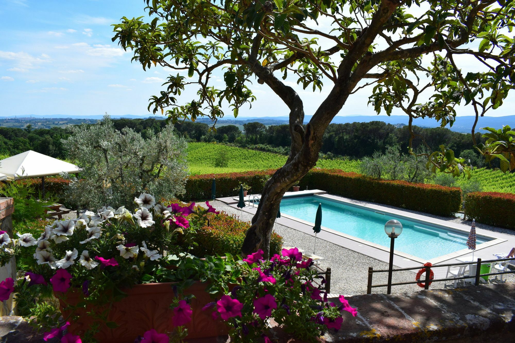Agriturismo Amina, Winery & Hiking Vagliagli Eksteriør bilde